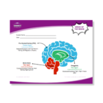 Website V2 Images (4)